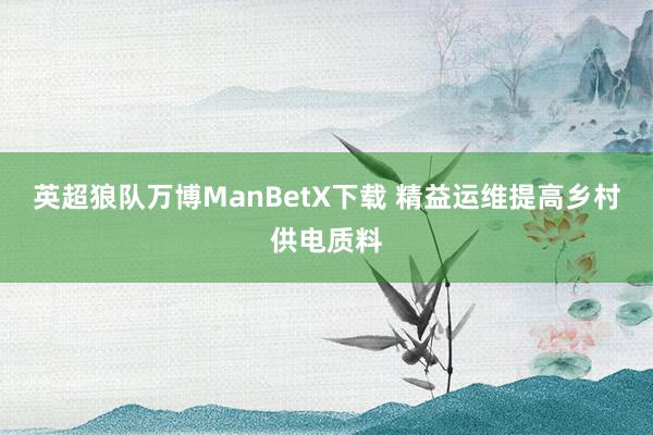 英超狼队万博ManBetX下载 精益运维提高乡村供电质料