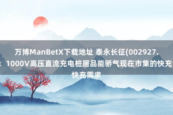 万博ManBetX下载地址 泰永长征(002927.SZ)：1000V高压直流充电桩居品能骄气现在市集的快充需求