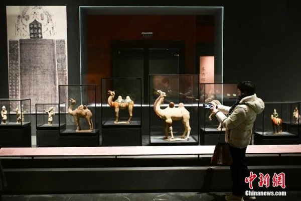 英超狼队万博ManBetX下载 北京故宫博物院举办“历史之遇——中国与西亚古代时髦换取展”