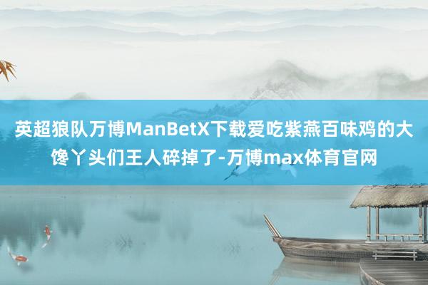 英超狼队万博ManBetX下载爱吃紫燕百味鸡的大馋丫头们王人碎掉了-万博max体育官网
