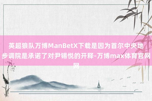 英超狼队万博ManBetX下载是因为首尔中央地步调院是承诺了对尹锡悦的开释-万博max体育官网
