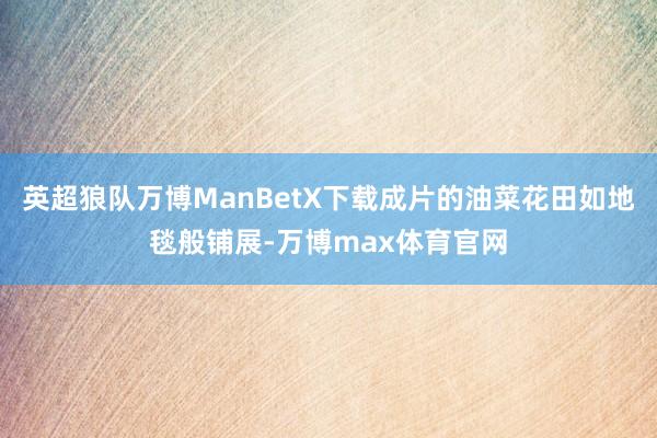 英超狼队万博ManBetX下载成片的油菜花田如地毯般铺展-万博max体育官网