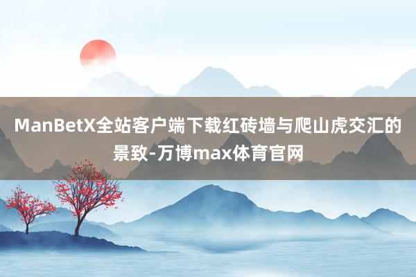 ManBetX全站客户端下载红砖墙与爬山虎交汇的景致-万博max体育官网