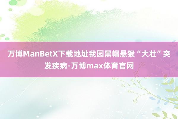 万博ManBetX下载地址我园黑帽悬猴“大壮”突发疾病-万博max体育官网