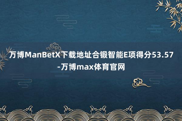 万博ManBetX下载地址合锻智能E项得分53.57-万博max体育官网