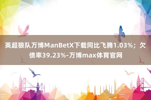 英超狼队万博ManBetX下载同比飞腾1.03%；欠债率39.23%-万博max体育官网