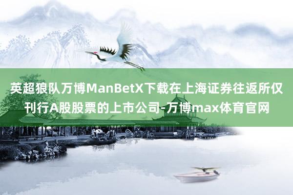 英超狼队万博ManBetX下载在上海证券往返所仅刊行A股股票的上市公司-万博max体育官网