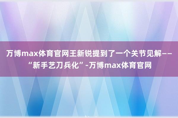 万博max体育官网王新锐提到了一个关节见解——“新手艺刀兵化”-万博max体育官网