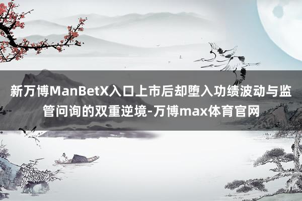 新万博ManBetX入口上市后却堕入功绩波动与监管问询的双重逆境-万博max体育官网