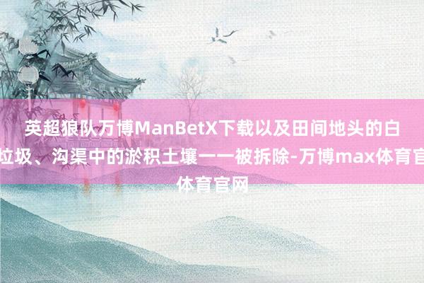 英超狼队万博ManBetX下载以及田间地头的白色垃圾、沟渠中的淤积土壤一一被拆除-万博max体育官网